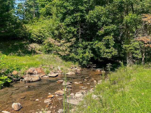 705 Laurel Ridge Drive, Ellijay, GA 30536