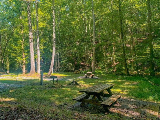 705 Laurel Ridge Drive, Ellijay, GA 30536