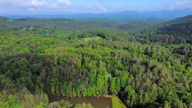 705 Laurel Ridge Drive, Ellijay, GA 30536