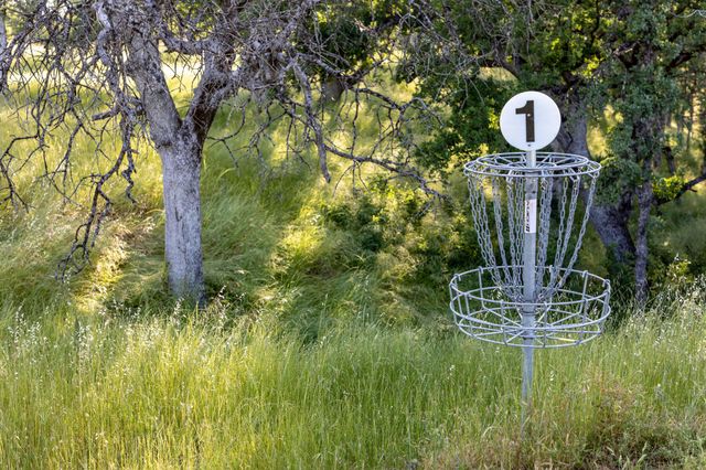 22536 Rio Alto Drive, Cottonwood, CA 96022