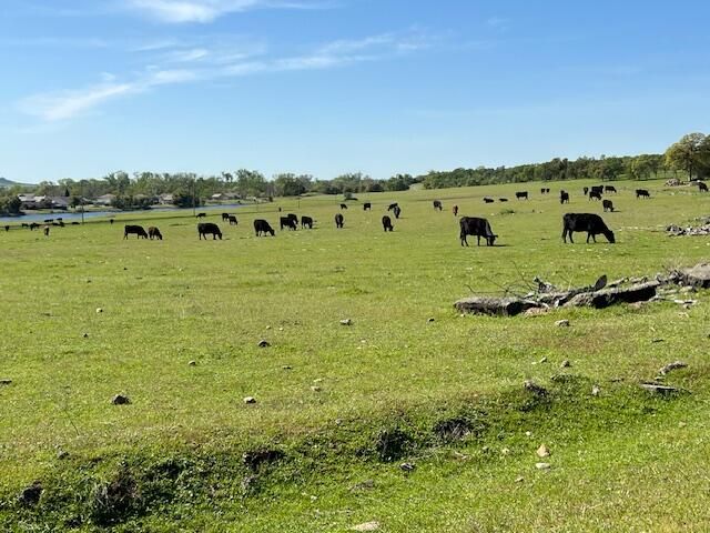 22536 Rio Alto Drive, Cottonwood, CA 96022