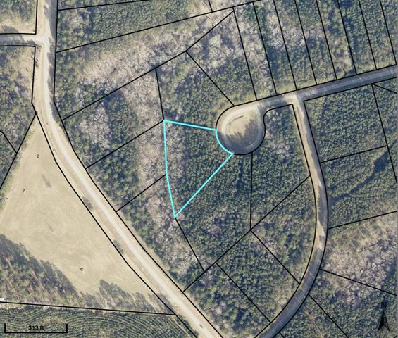 1125 Hunters Landing, Tignall, GA 30668