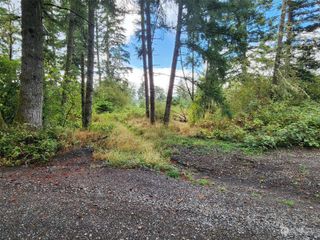 11736 Vail Cut Off Road SE, Rainier, WA 98576