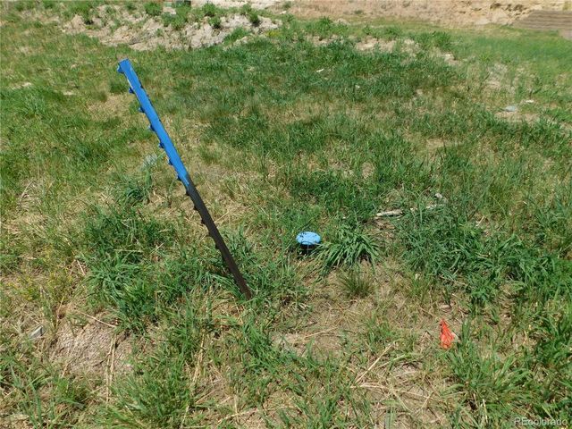 4423 Echo Butte Ln, Larkspur, CO 80118