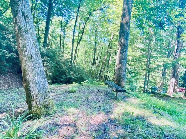 100 Crosspatch Drive, Bryson City, NC 28713