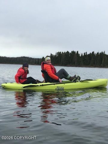 19120 Toklat Road, Kasilof, AK 99610