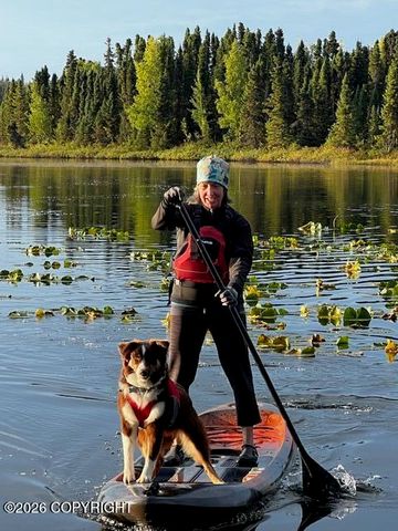 19120 Toklat Road, Kasilof, AK 99610