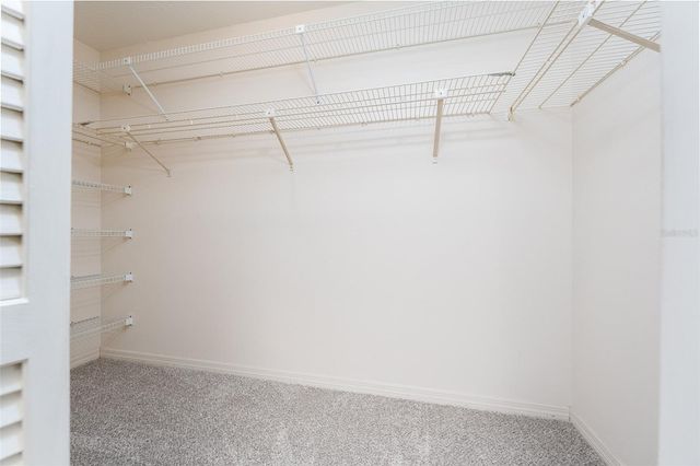 905 STANBERRY DRIVE, Brandon, FL 33511