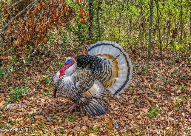 447689 US HIGHWAY 301, Callahan, FL 32011