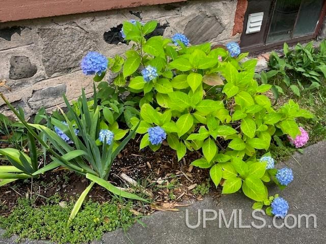 304 Harris Avenue, Hancock, MI 49930