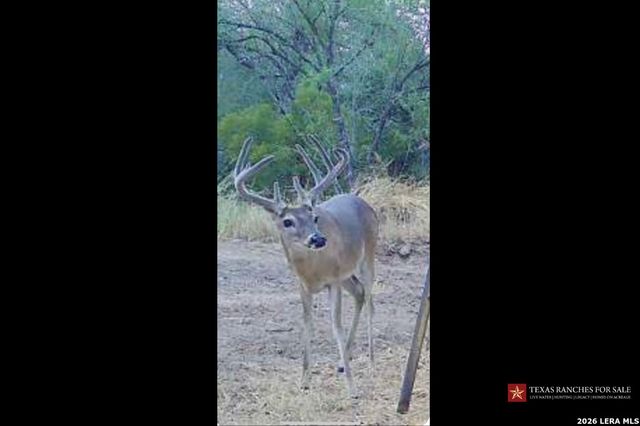 3355 Jim Brite Rd, Pleasanton, TX 78064