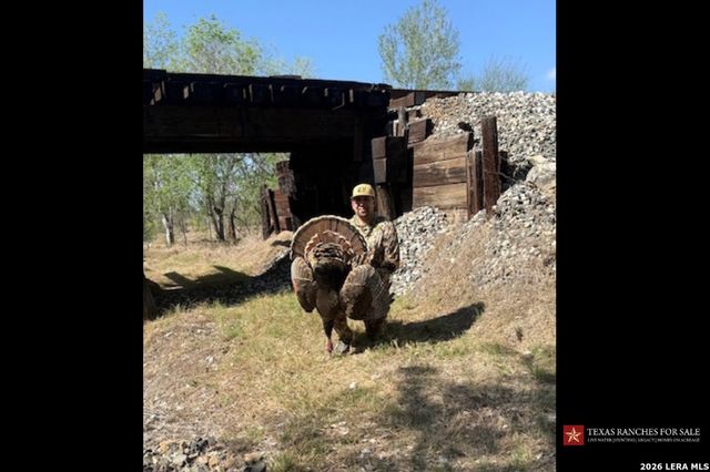3355 Jim Brite Rd, Pleasanton, TX 78064