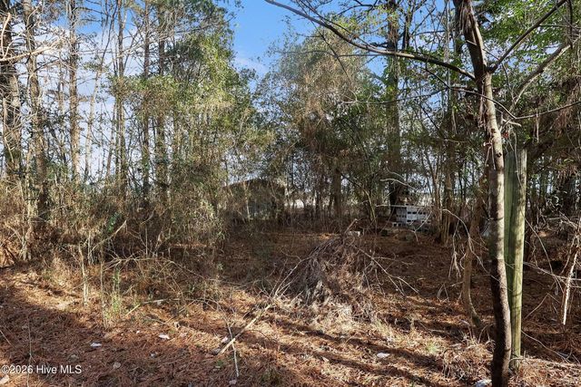 1249 Fann School Road, Salemburg, NC 28385