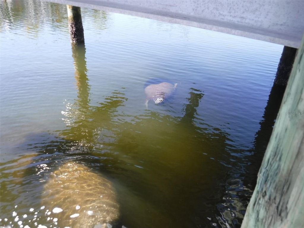 Image 32 of property listing at 10313 WATERBIRD WAY 4, Bradenton, FL 34209