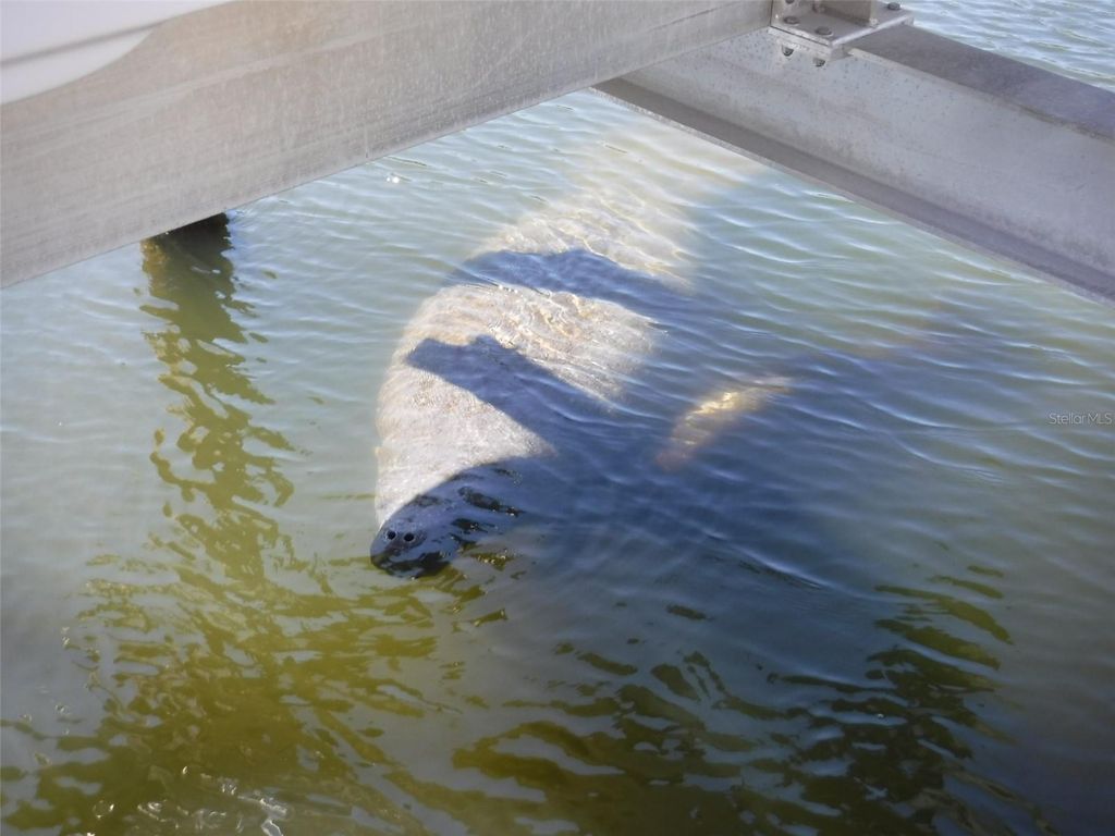 Image 33 of property listing at 10313 WATERBIRD WAY 4, Bradenton, FL 34209