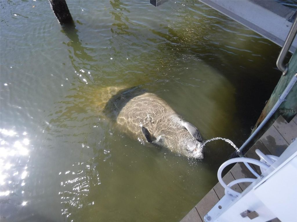 Image 34 of property listing at 10313 WATERBIRD WAY 4, Bradenton, FL 34209