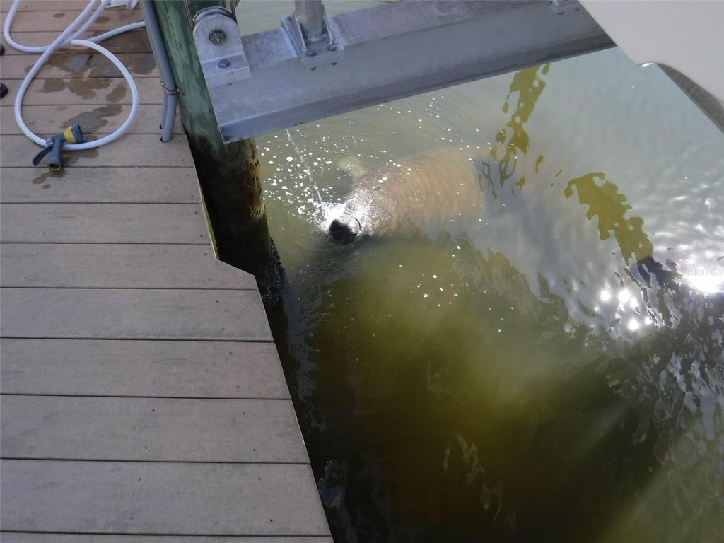 Image 48 of property listing at 10313 WATERBIRD WAY 4, Bradenton, FL 34209