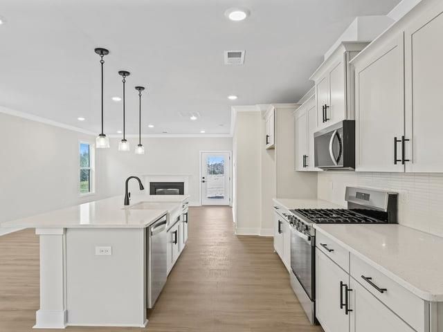 238 Paperbark Drive, Greenville, SC 29607