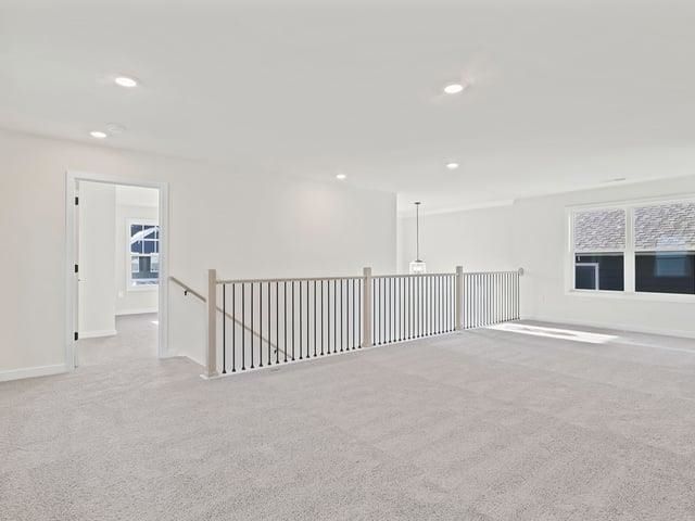 238 Paperbark Drive, Greenville, SC 29607