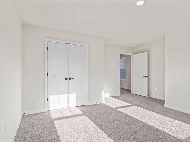 238 Paperbark Drive, Greenville, SC 29607