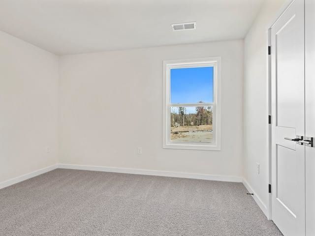 238 Paperbark Drive, Greenville, SC 29607