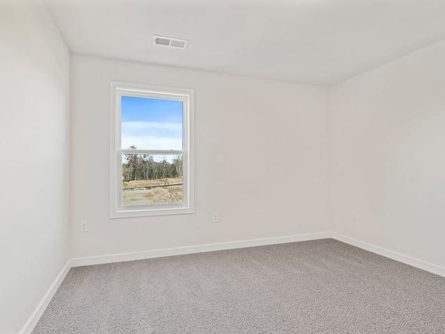 238 Paperbark Drive, Greenville, SC 29607