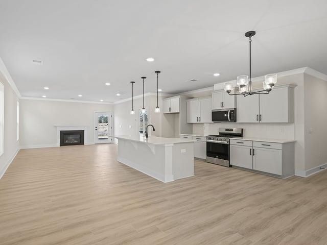 238 Paperbark Drive, Greenville, SC 29607