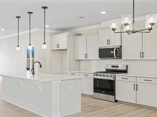 238 Paperbark Drive, Greenville, SC 29607