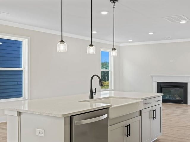 238 Paperbark Drive, Greenville, SC 29607