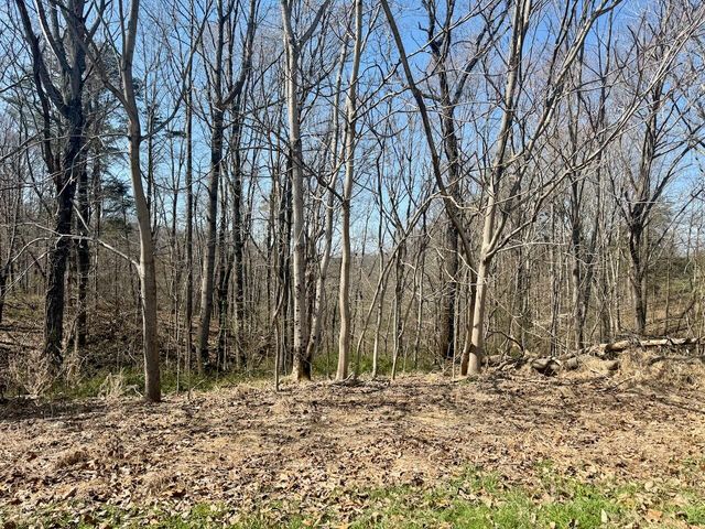 97 Paradise Alley, Russell Springs, KY 42642