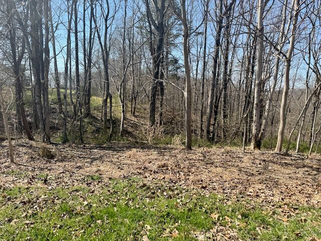 97 Paradise Alley, Russell Springs, KY 42642