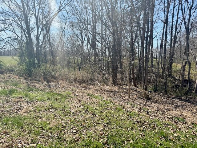 97 Paradise Alley, Russell Springs, KY 42642