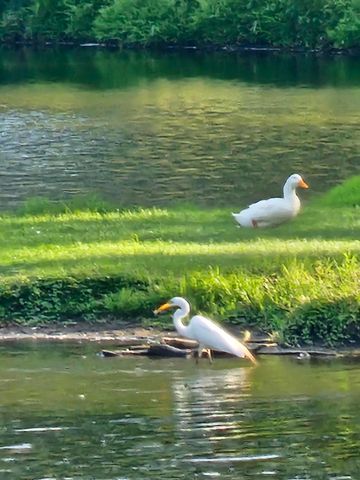 284 Castlewood Drive, Valparaiso, IN 46385