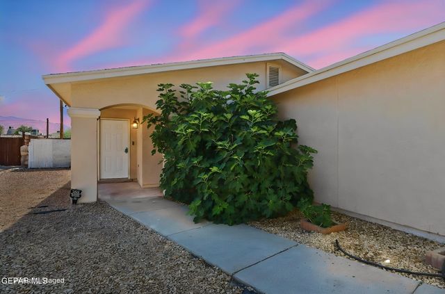 7017 PANDORA Street, El Paso, TX 79904