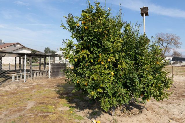 12265 E Dinuba Avenue, Selma, CA 93662