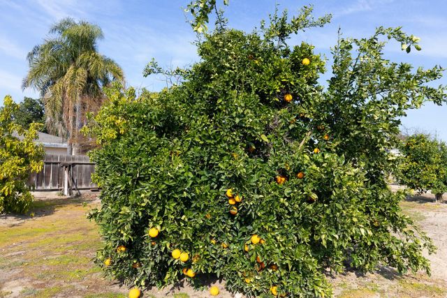 12265 E Dinuba Avenue, Selma, CA 93662