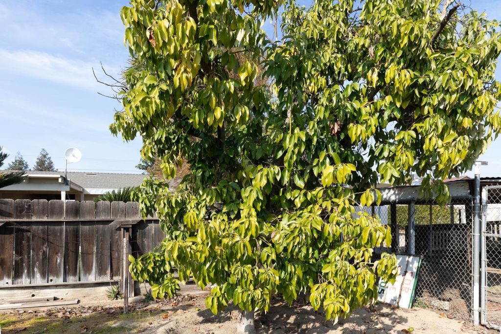 Image 54 of property listing at 12265 E Dinuba Avenue, Selma, CA 93662