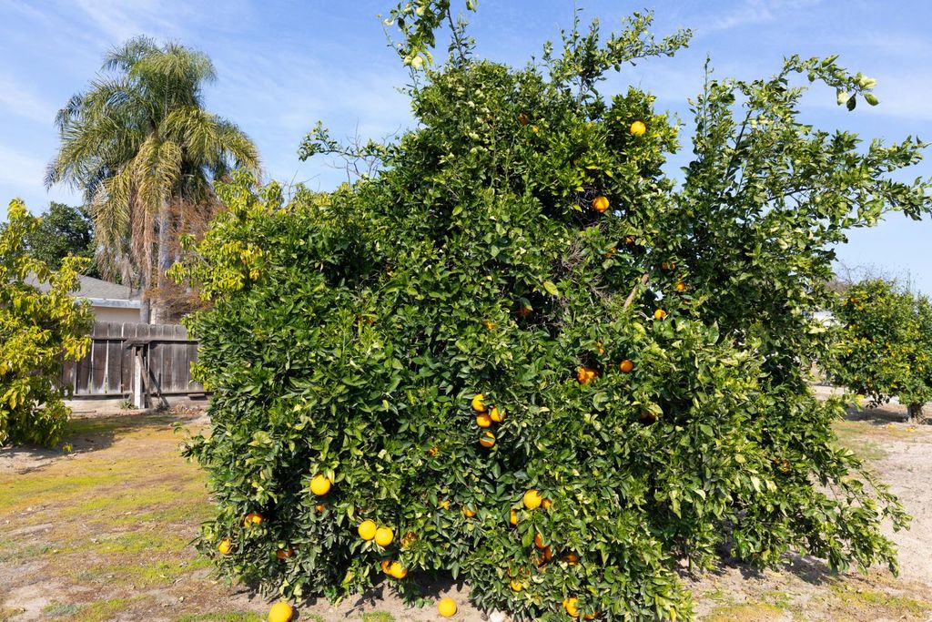 Image 55 of property listing at 12265 E Dinuba Avenue, Selma, CA 93662