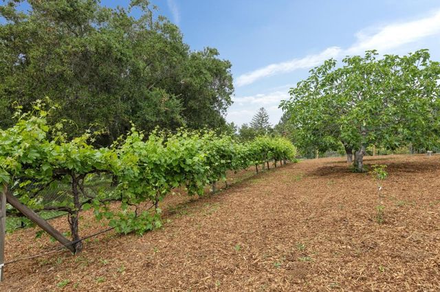 120 Deer Meadow Lane, Portola Valley, CA 94028