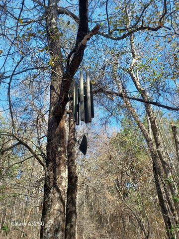 755 Evangeline Drive, Vidor, TX 77662