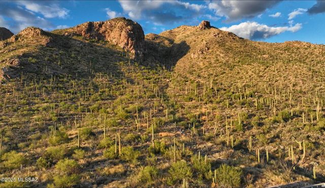 1779 E Barrell Cactus Court, Tucson, AZ 85718