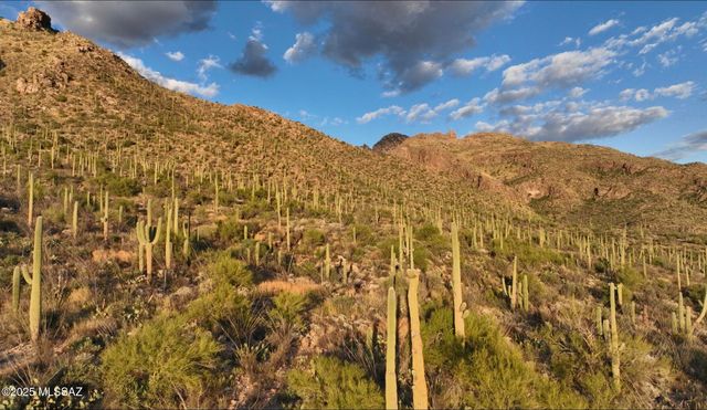 1779 E Barrell Cactus Court, Tucson, AZ 85718
