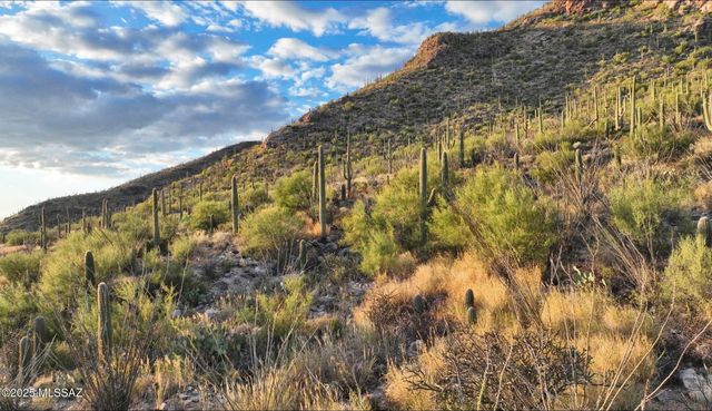 1779 E Barrell Cactus Court, Tucson, AZ 85718