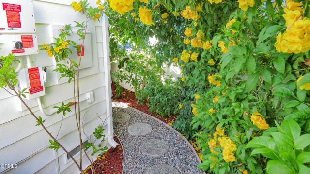 349 Ash Avenue 17, Carpinteria, CA 93013