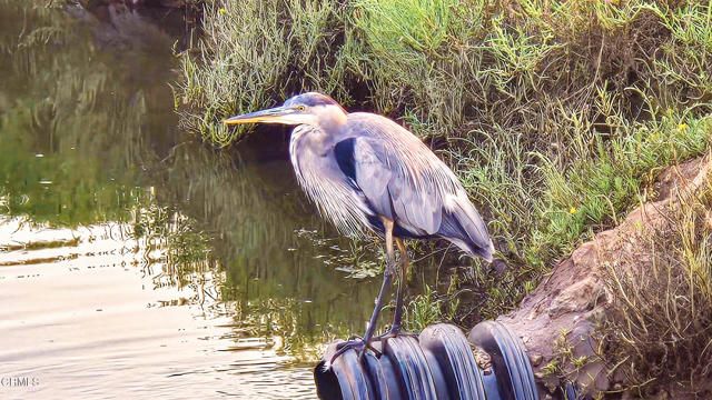 349 Ash Avenue 17, Carpinteria, CA 93013