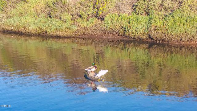 349 Ash Avenue 17, Carpinteria, CA 93013