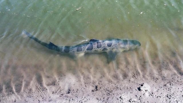 349 Ash Avenue 17, Carpinteria, CA 93013