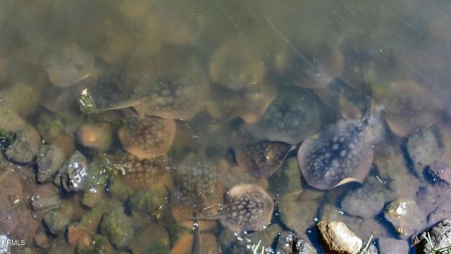 349 Ash Avenue 17, Carpinteria, CA 93013