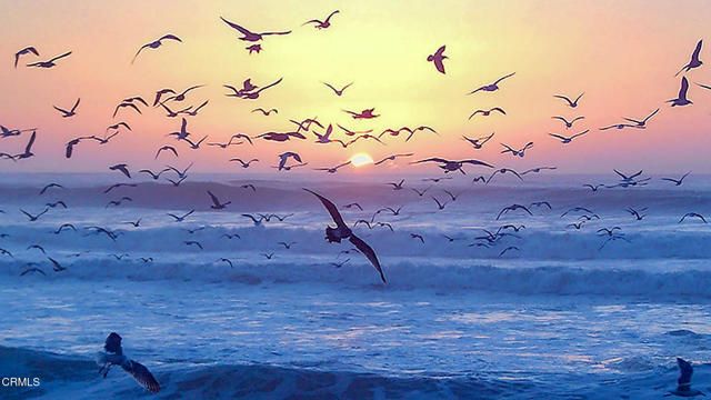 349 Ash Avenue 17, Carpinteria, CA 93013