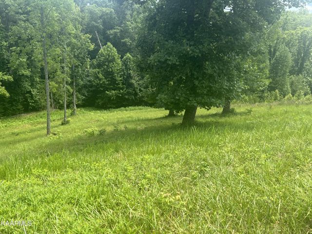 Cypress Drive, Dandridge, TN 37725